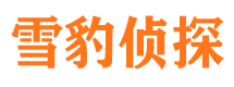 大柴旦外遇出轨调查取证